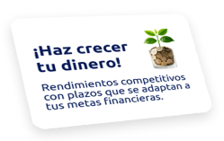 Haz crecer tu dinero